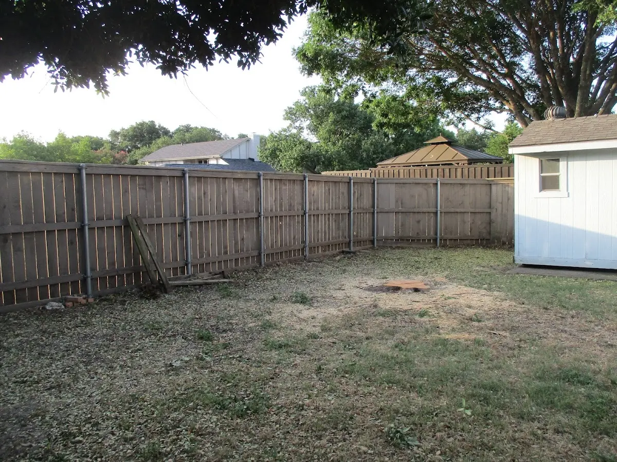 Cleared yard after professional tree removal in Alplaus